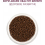 Award Kitten Healthy Growth Turkey, Chicken, Fish Oil, Flax Seeds