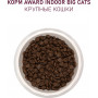 Award Cat Adult Indoor Big Beef, Chicken, Broccoli, Yucca Schidigera