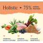 Avance Holistic Puppies Turkey and Brown Rice