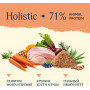 Avance Holistic Kitten Turkey and Brown Rice