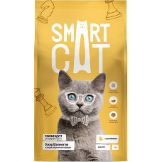 Smart Cat Kitten с Цыплёнком