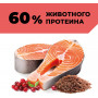 GO’KITCHEN Cat Hair & Skin Care Лосось