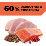 GO’KITCHEN Dog Hair & Skine Care Индейка, Лосось