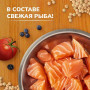 NOW’KITCHEN Fresh Adult Cat Grain Free Trout, Salmon and Vegetables