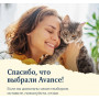 Avance Holistic Cat Кролик