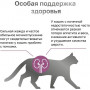 Organix Cat Veterinary Renal Adult 