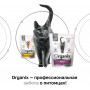 Organix Cat Veterinary Renal Adult 