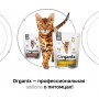 Organix Cat Veterinary Urinary Struvite Adult 