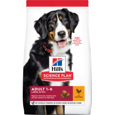 Hill's Science Plan Canine Adult Large Chicken