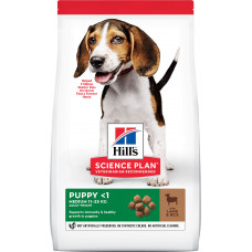 Hill's Science Plan Puppy Medium Lamb & Rice