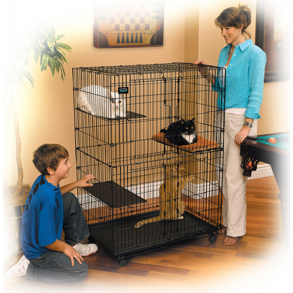 Купить Midwest Collapsible Cat Playpen клетка 91х60х128h Клетка для кошек в  Ростове-на-Дону, Таганроге, Краснодаре, Армавире | ruZoomag.ru