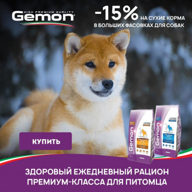 -15% на корм для собак Gemon!