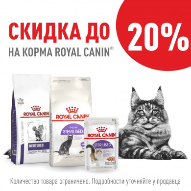 -20% на корма Royal Canin!