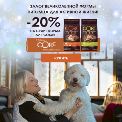 -20% на Wellness Core для собак!