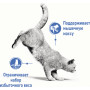 Royal Canin Light Weight Care (в желе)