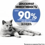 Royal Canin Light Weight Care (в желе)