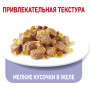 Royal Canin Light Weight Care (в желе)