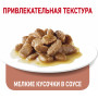 Royal Canin Light Weight Care (в соусе)
