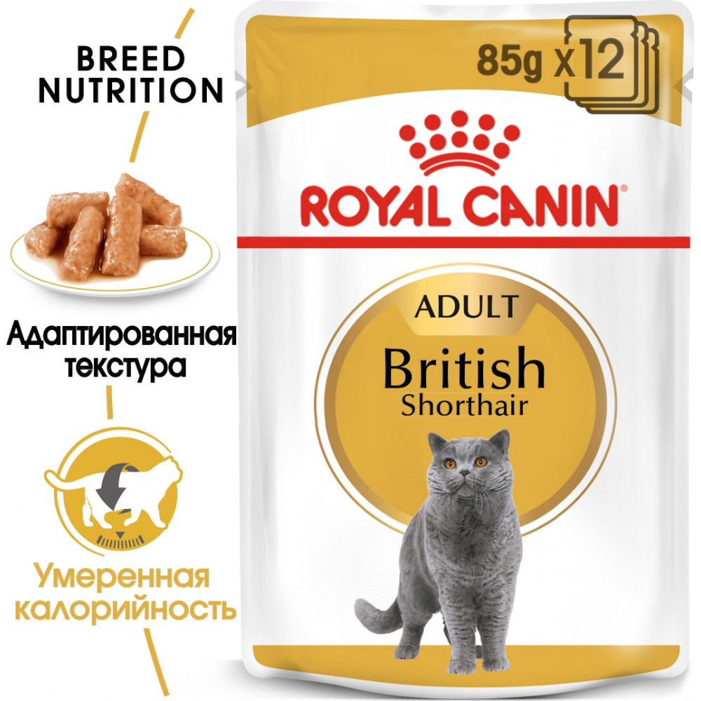 Royal Canin British Shorthair Adult (в соусе)