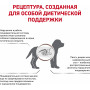 Royal Canin Gastrointestinal Puppy