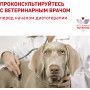 Royal Canin Gastrointestinal Puppy