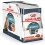 Royal Canin Hairball Care (в соусе)