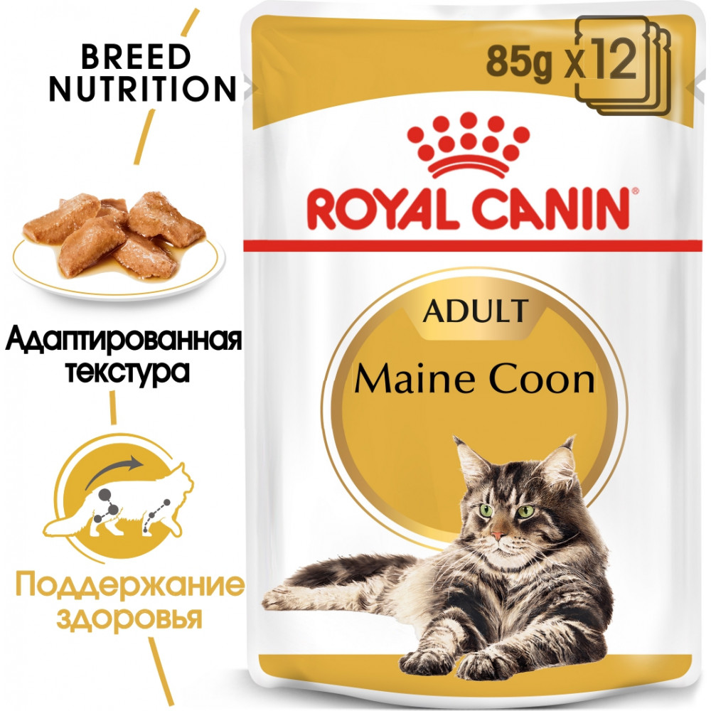 Royal Canin Maine Coon Adult (в соусе)