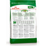 Royal Canin Mini Adult 8+