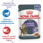 Royal Canin Appetite Control Care (в желе)