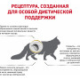 Royal Canin Urinary S/O Cat
