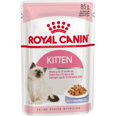 Royal Canin Kitten (в желе)