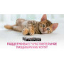 Purina Pro Plan Cat Junior Delicate Rich in Turkey