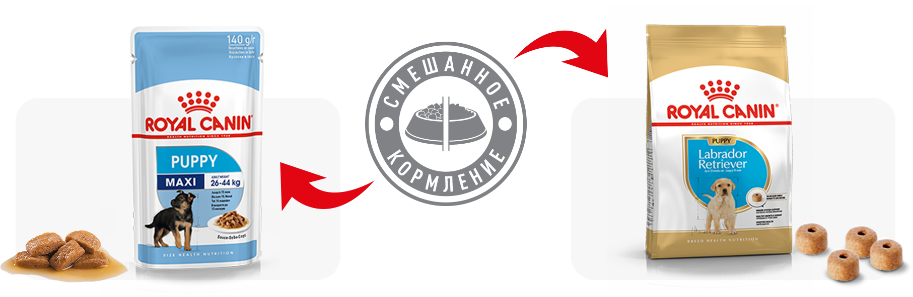 Рекомендации по кормлению
